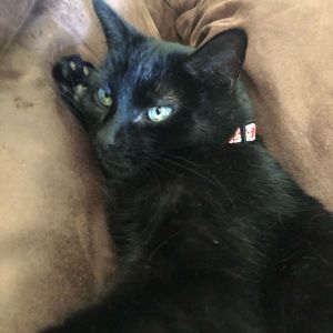 Meet your Posher, Jess